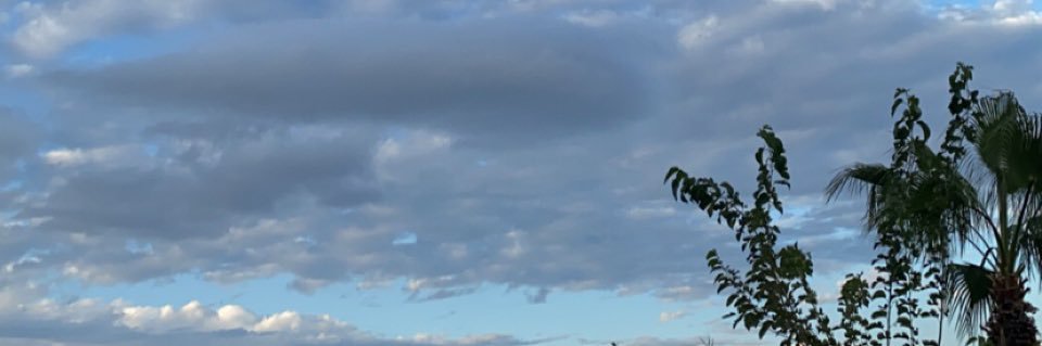 Dilarassu's profile banner image