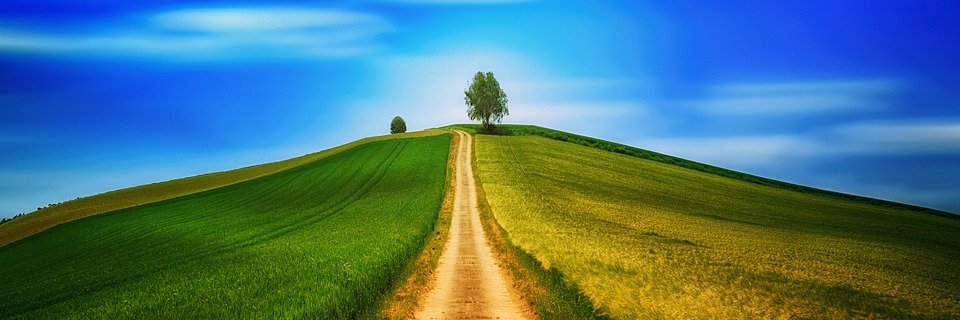 bidao1688's profile banner image