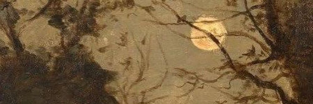 Auri 🥀✨ banner