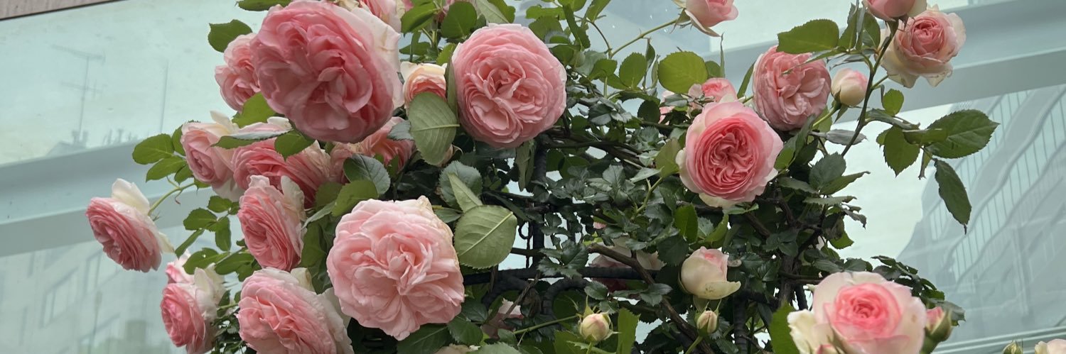chiy22sato55's profile banner image