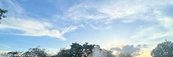231_mehak's profile banner image