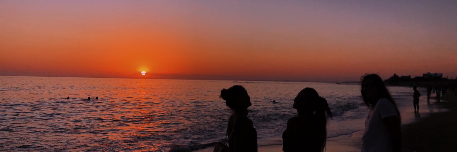 sofisaraco's profile banner image