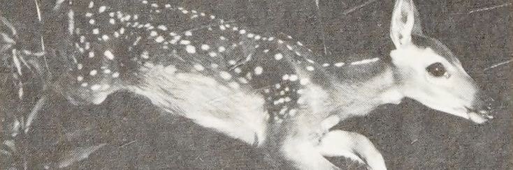 cigarex1c's profile banner image