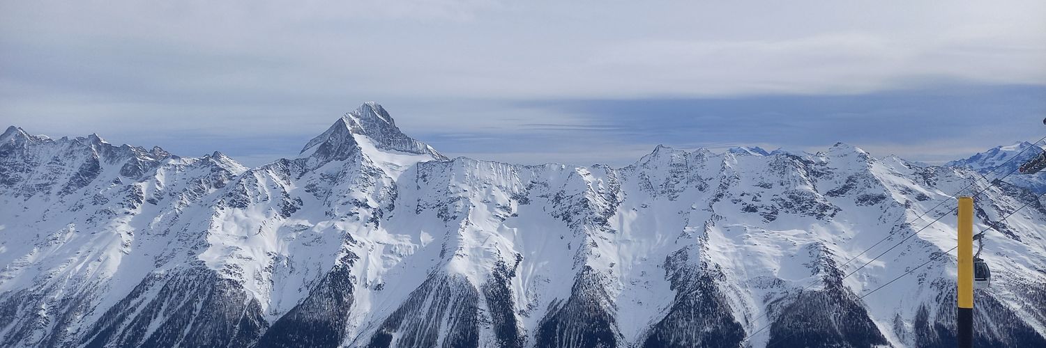 Patriotesuisse 🇨🇭🇨🇭🇨🇭 banner