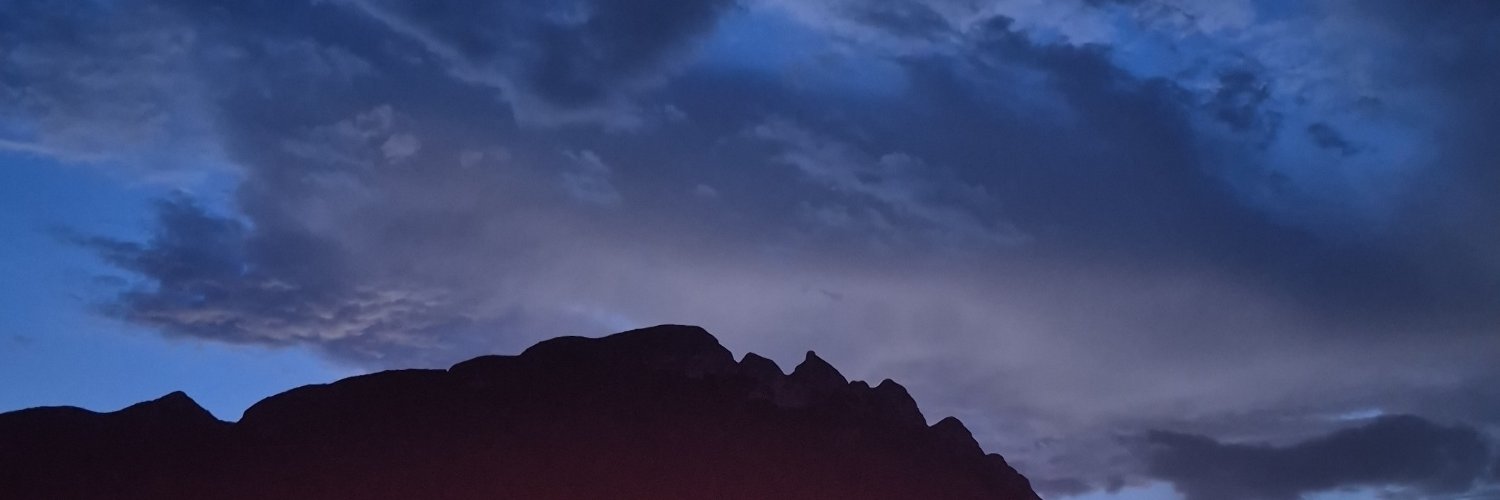 Nancygibarra's profile banner image