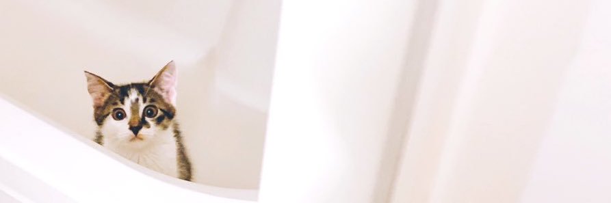 山中 夏歩 banner