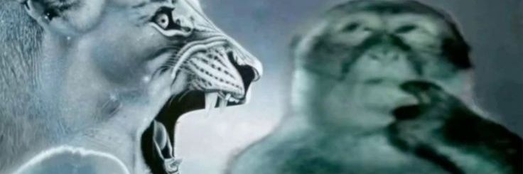 زینب banner