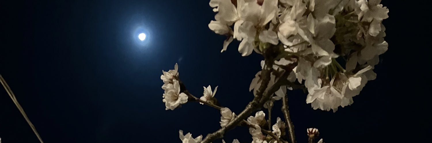 PMS_Miwa's profile banner image