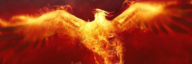 DaPhoenix banner