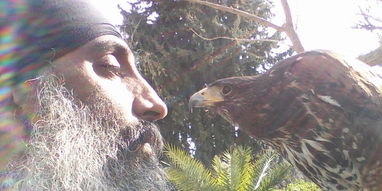 davpanesar1's profile banner image