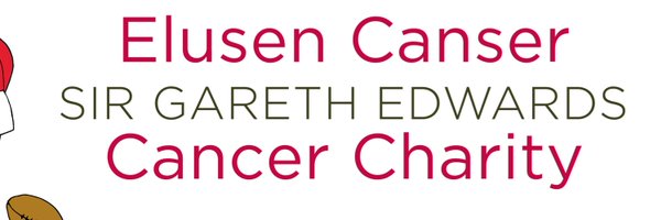 sirgarethedward Profile Banner