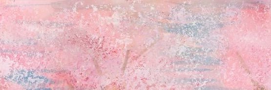lenici's profile banner image