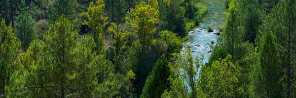 RewildingSpain_ Profile Banner