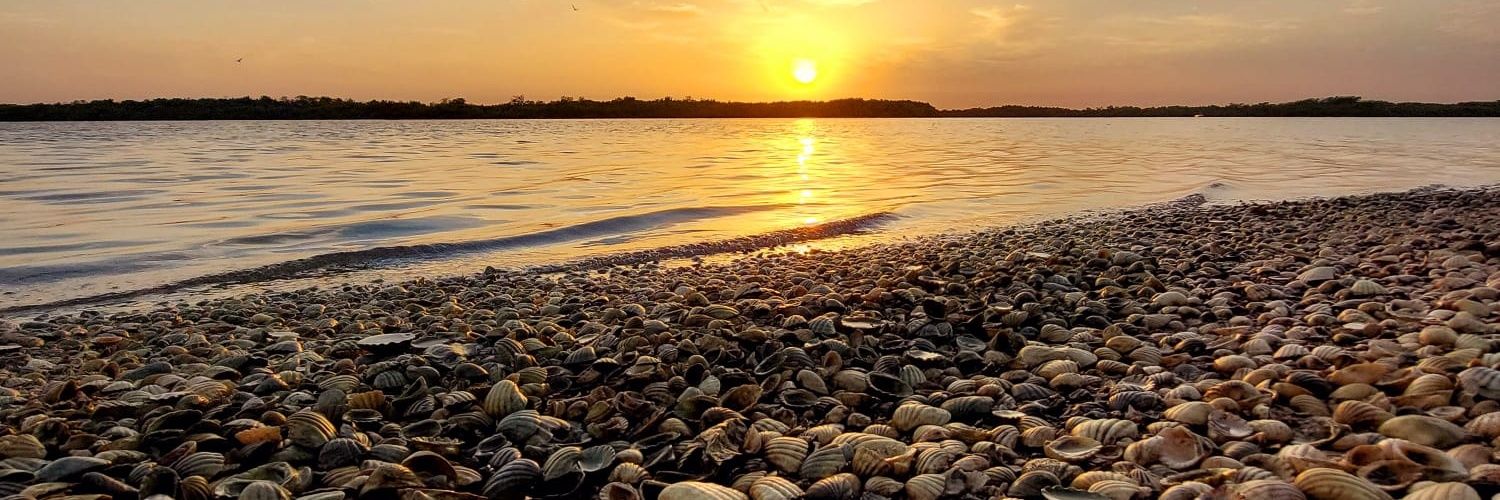 Suor Angy 🐞🪸⚜️🪬🪁🫧 banner