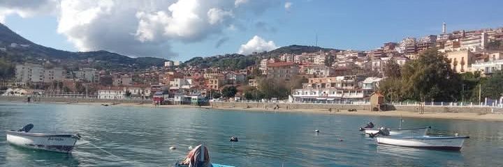 🐬DZ🇩🇿🐦 banner