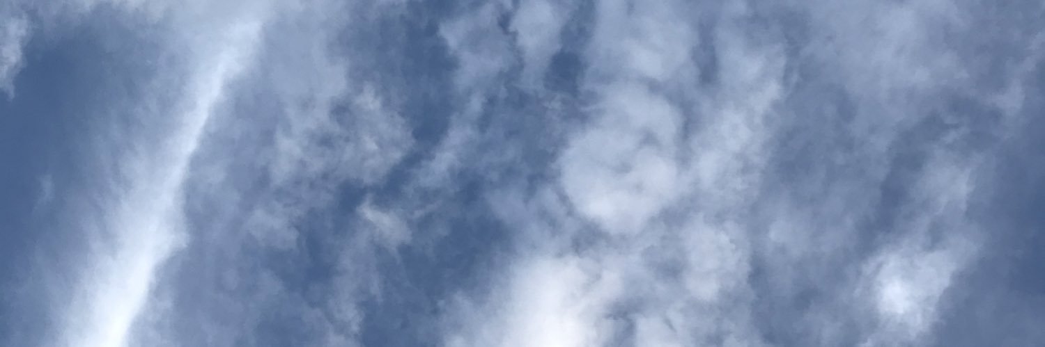 Daisy_y_s_'s profile banner image