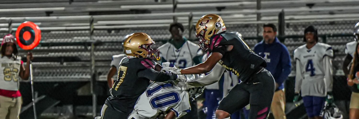 Stephan jean-louis II banner