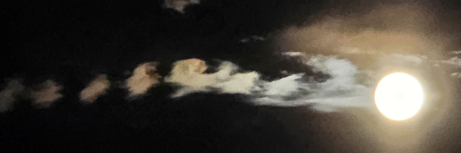 Isaac Taylor's banner