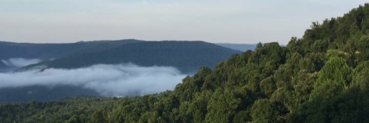JFish_97's profile banner image