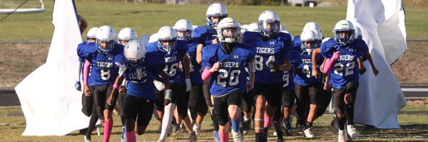 TigersMMS Profile Banner