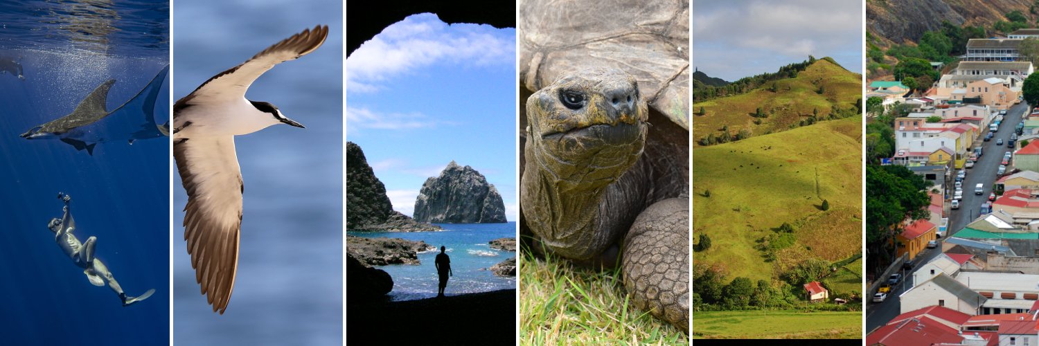 Chief Minister of St Helena banner