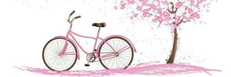 AnnaSam banner