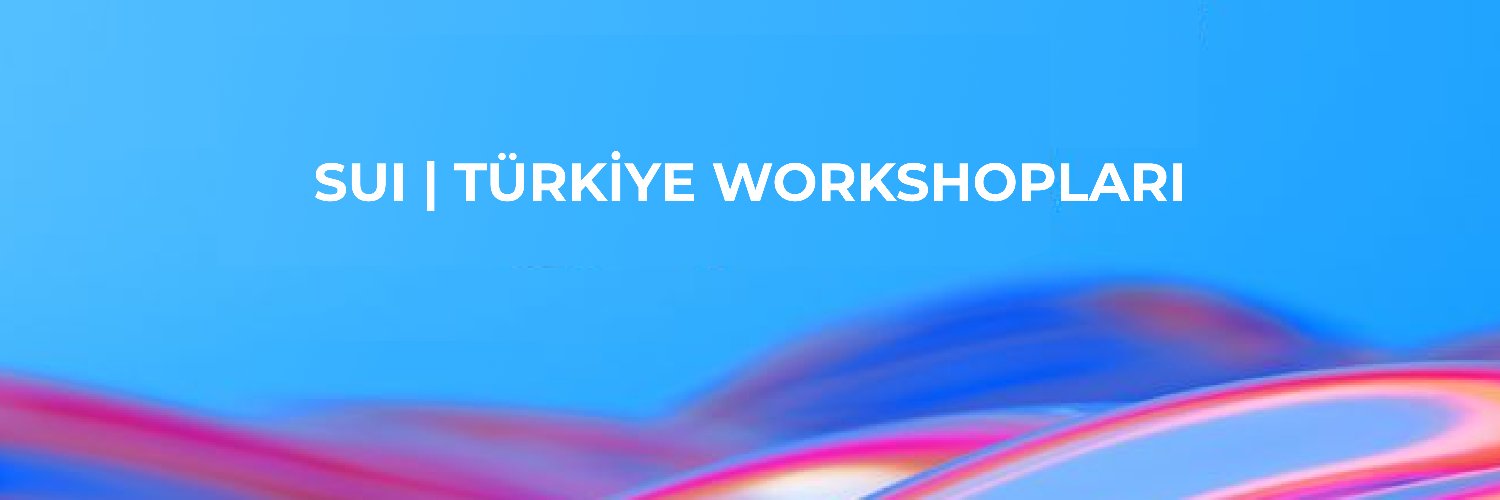 SuiHubTurkiye's profile banner image