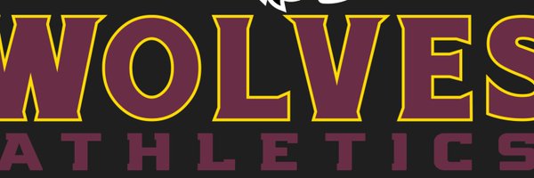 lhladywolves Profile Banner