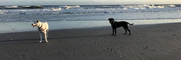 AWCaiMD Profile Banner