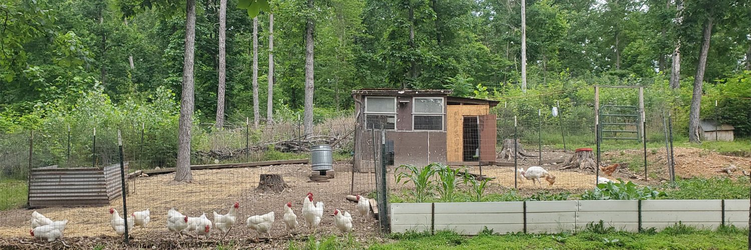 🇺🇸Possum Squat Hollow Farms™🇺🇸 banner