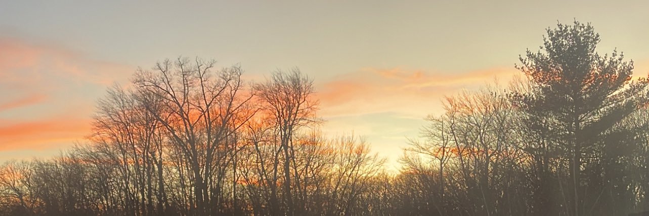 Beatriz Amorim banner