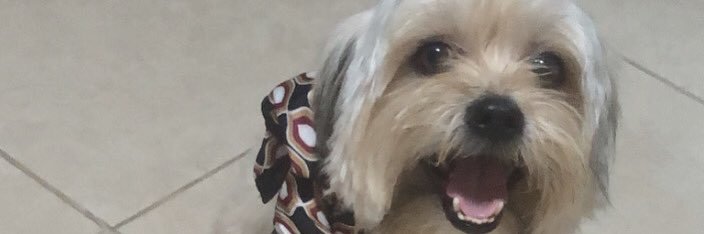 xioosuarez's profile banner image