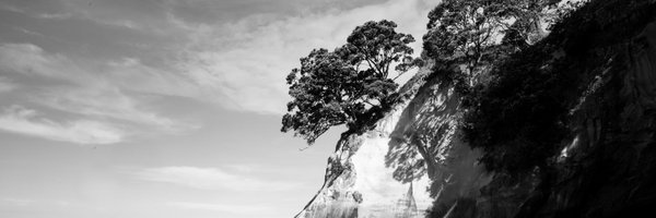 slartbart Profile Banner