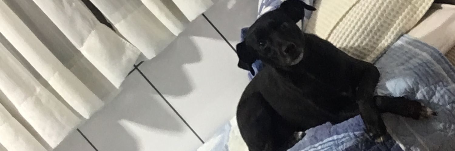 _garciadave's profile banner image