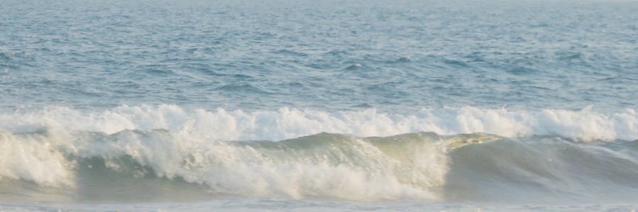 sea ⋆｡𖦹 ˚ 𓇼 ˚｡⋆ banner