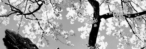 rick19__'s profile banner image