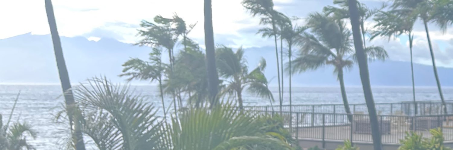 AZFunBear's profile banner image