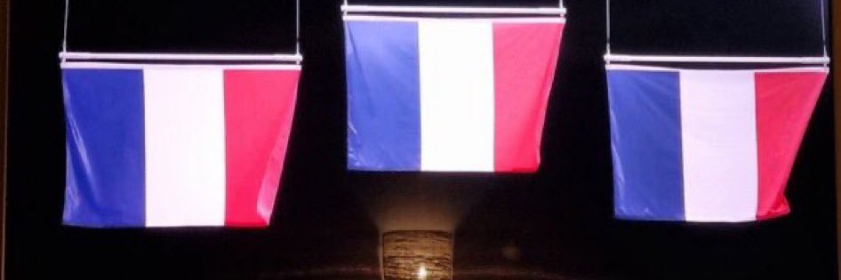 schizofred 🇫🇷🥖🎗️ banner