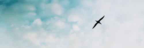 Gabriel Rinaldi ® banner