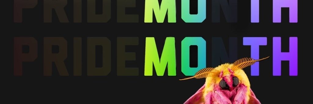 HeapOfBones's profile banner image