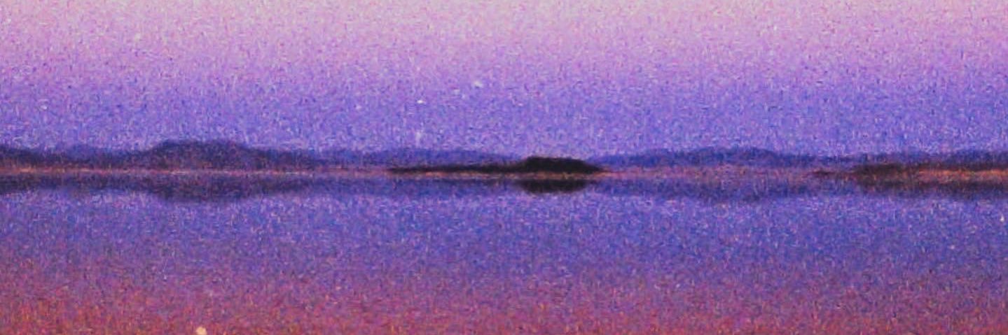 alllegsnotorso banner