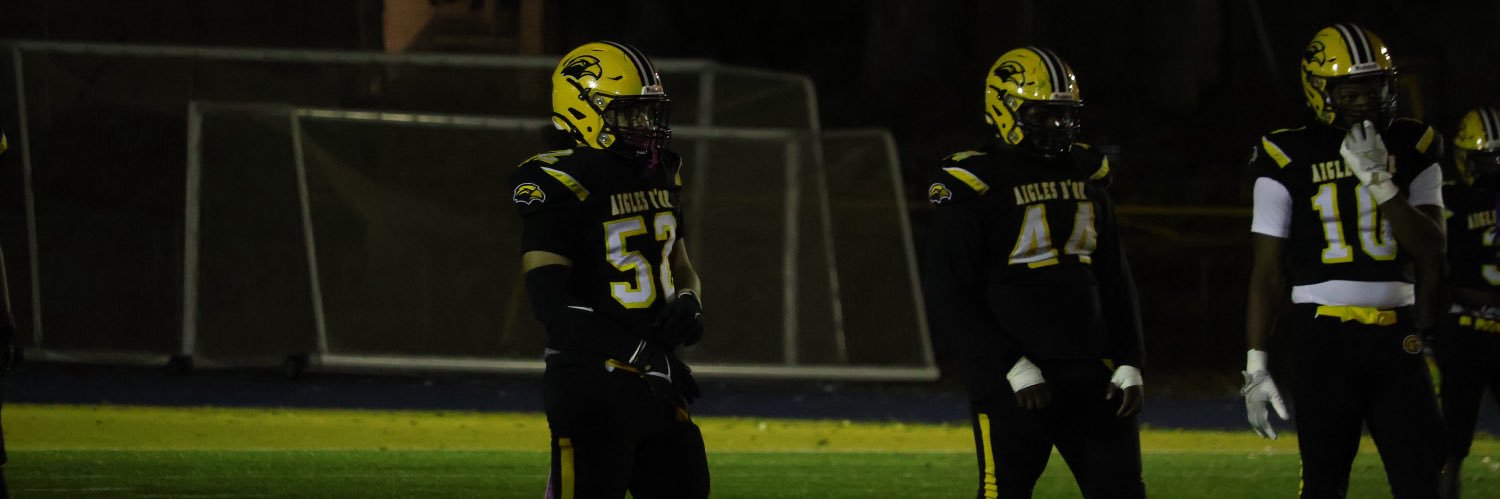 Harlem Wilson banner