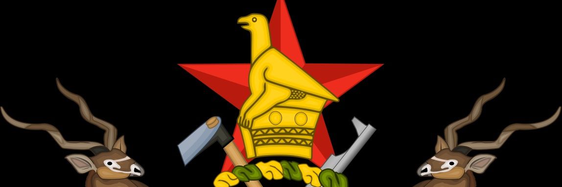 Citizen Dhehwa🇿🇼 banner