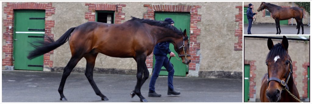 Thomas O'Keeffe banner