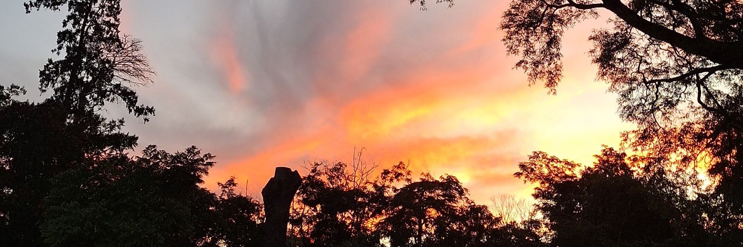 PauBDelgado's profile banner image