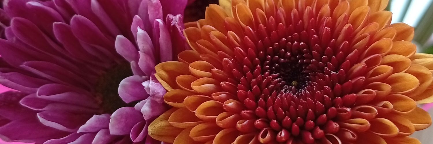 michellamorjj's profile banner image