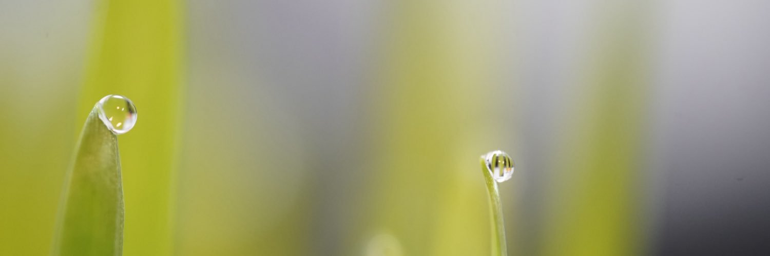 Amane.Y banner