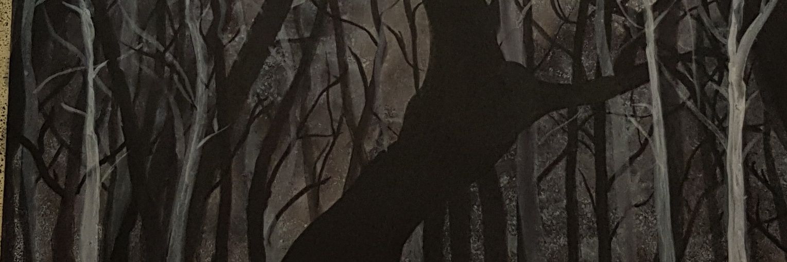staceeDoc89's profile banner image