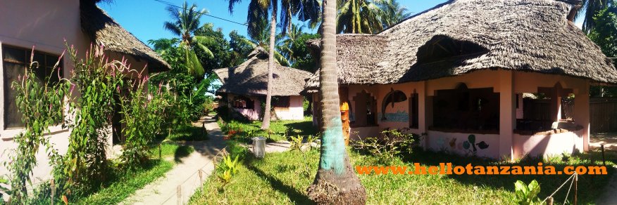 HelloTanzania_'s profile banner image