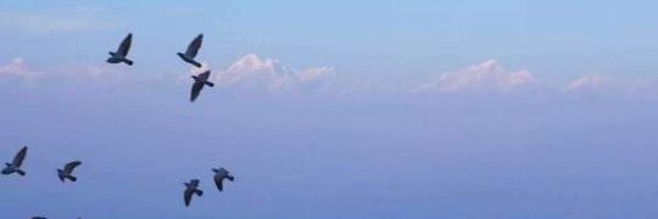 0xLin88 Profile Banner